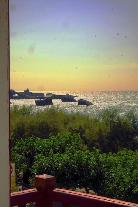 Appartement Le Sahel - Vue Imprenable Sur L'Ocean ビアリッツ エクステリア 写真