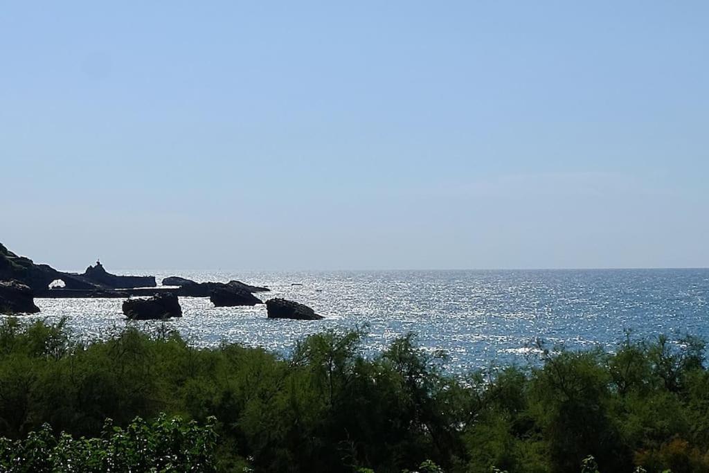 Appartement Le Sahel - Vue Imprenable Sur L'Ocean ビアリッツ エクステリア 写真